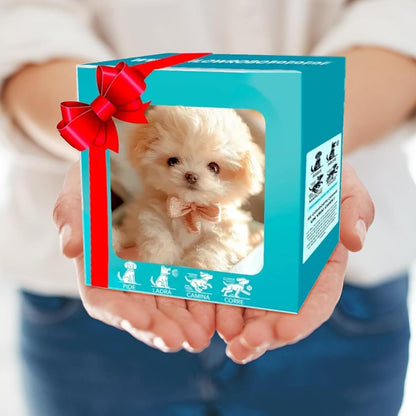 MyFirstPuppy™ | De eerste stap naar een eche Pup